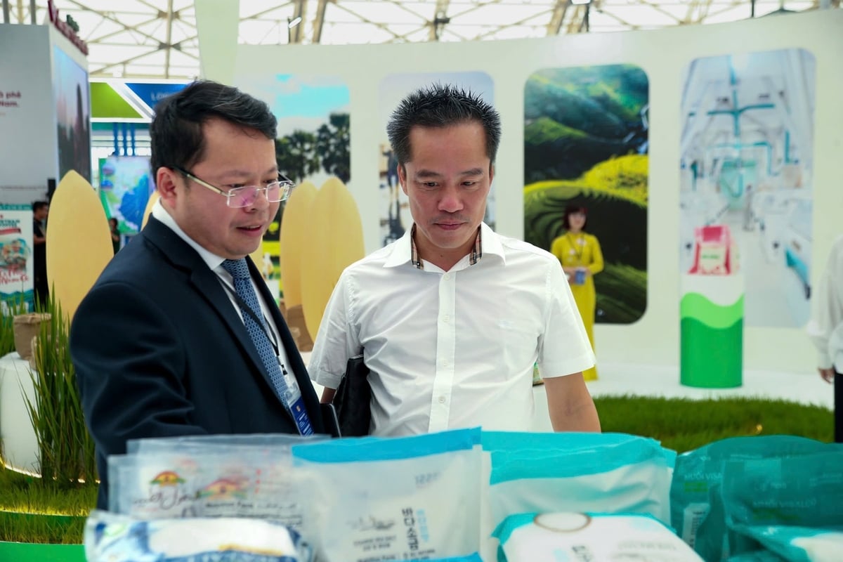 Nhìn lại hành trình hơn một thập kỷ qua, Vinafood 1 đã khẳng định sự tăng trưởng bền vững, không chỉ ở sản lượng mà còn ở giá trị hạt gạo. Ảnh: PH.